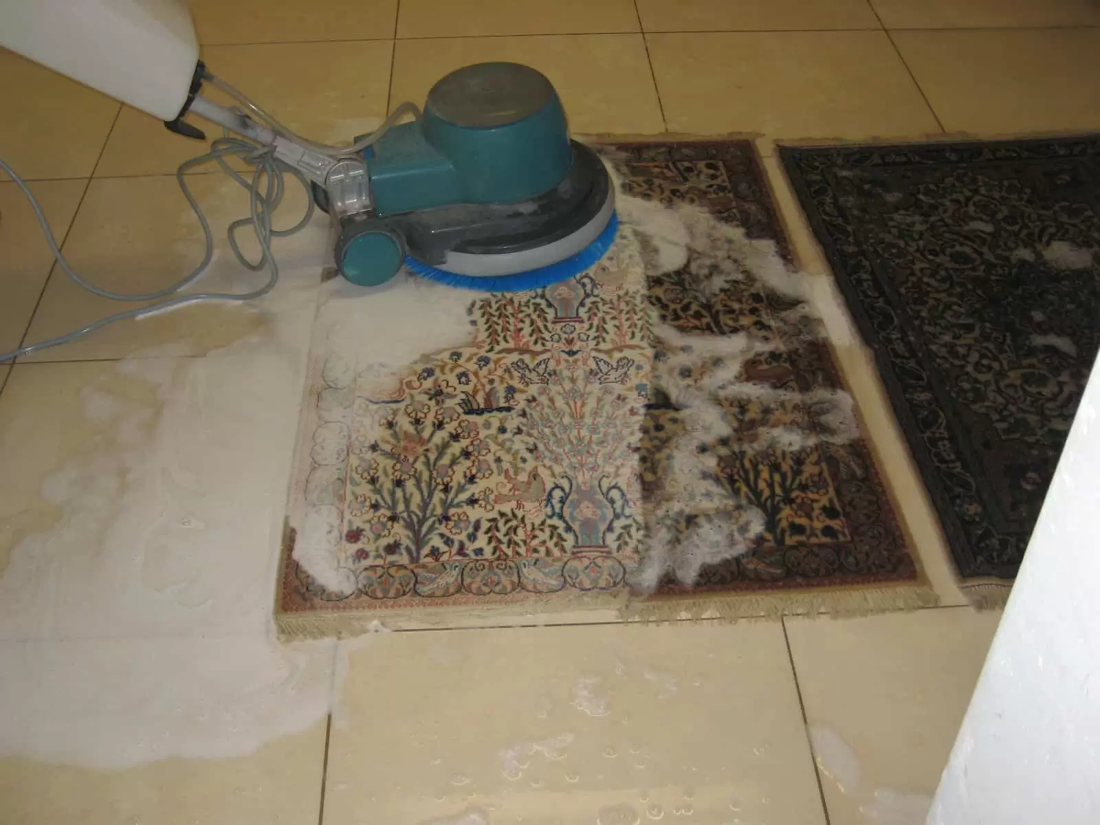 nettoyage de tapis à bruxelles en action.