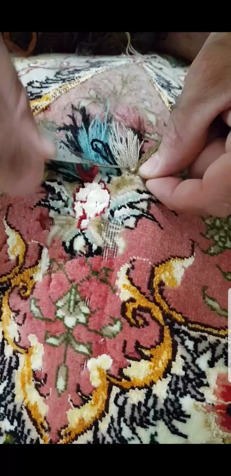 Artisan expert en réparation de tapis anciens répare un tapis Tabriz en laine et soie.