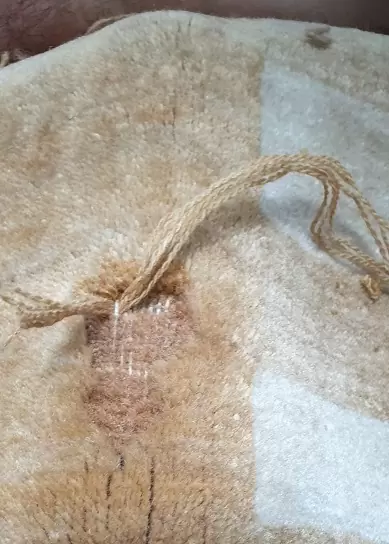 Détail d'un tapis mité , nécessitant une réparation
