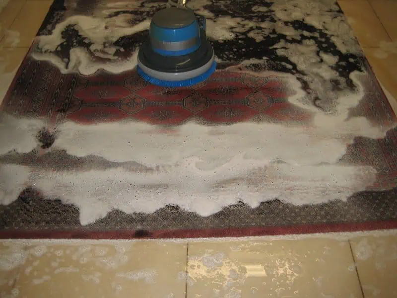 Lavage professionnel de tapis à l'eau