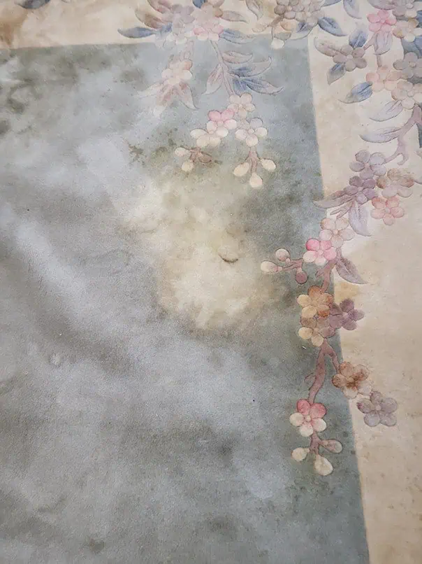 Tapis chinois avec décoloration avant réparation.